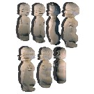 Thumb �evolution - Mann